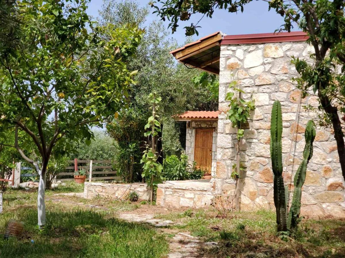 Filoxenia - The Place Of Experience Himarë Exterior foto