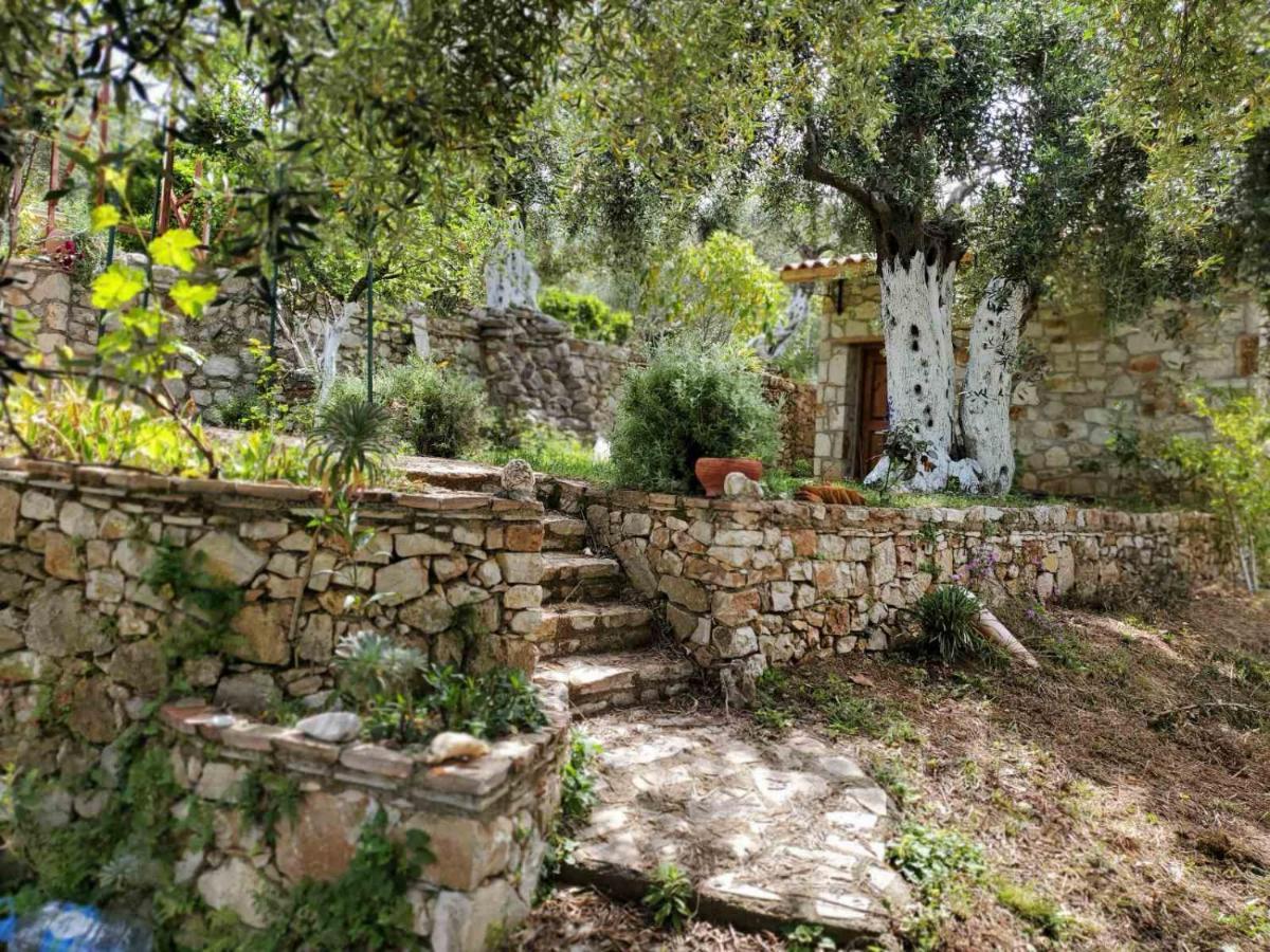 Filoxenia - The Place Of Experience Himarë Exterior foto