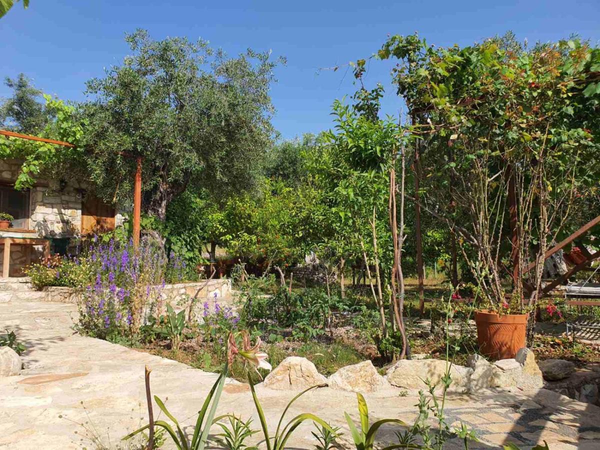 Filoxenia - The Place Of Experience Himarë Exterior foto